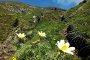 In vetta al Monte Valletto a tutta Birra dai Piani dell’Avaro il 23 giugno 2016  - FOTOGALLERY